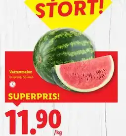 Lidl Vattenmelon, SEK 11.9 erbjuda
