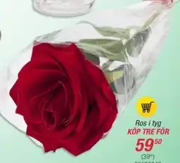 Guldfynd Ros i tyg erbjuda