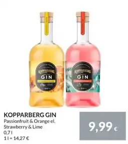 Nielsen Discount Kopparberg gin erbjuda