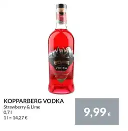Nielsen Discount Kopparberg vodka erbjuda
