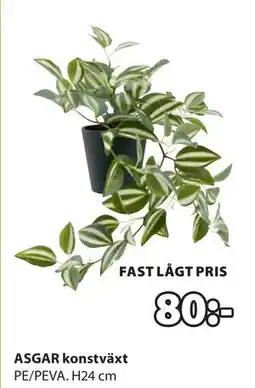 JYSK ASGAR konstväxt, SEK 80 erbjuda
