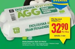 Willys GARANT Ekologiska ägg erbjuda