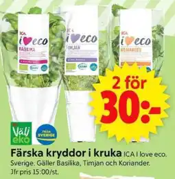 ICA Supermarket Färska kryddor i kruka erbjuda