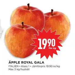 Willys Hemma ÄPPLE ROYAL GALA, SEK 19.9 erbjuda