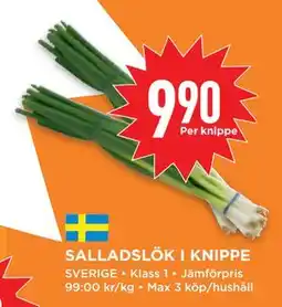 Willys Hemma SALLADSLÖK I KNIPPE, SEK 9.9 erbjuda