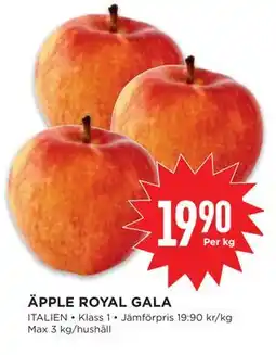 Willys ÄPPLE ROYAL GALA, SEK 19.9 erbjuda