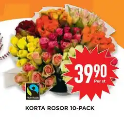 Willys KORTA ROSOR 10-PACK, SEK 39.9 erbjuda