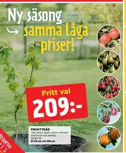 Jem&Fix FRUKTTRÄD, SEK 209 erbjuda