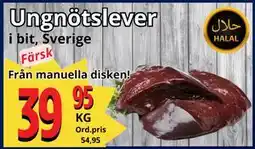 Supergrossen Ungnötslever, SEK 39.95 erbjuda
