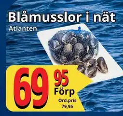 Supergrossen Blåmusslor i nät, SEK 69 erbjuda