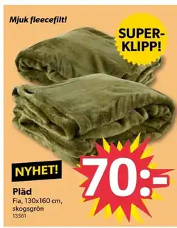 DollarStore Pläd erbjuda