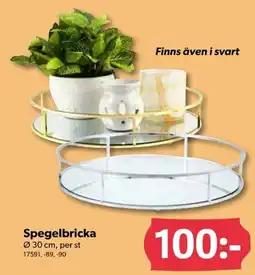 DollarStore Spegelbricka erbjuda