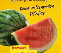 City Gross Delad vattenmelon, SEK 17.95 erbjuda