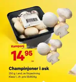 City Gross Champinjoner i ask, SEK 14.95 erbjuda