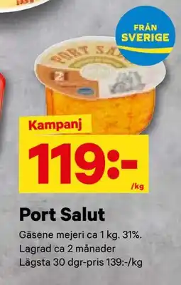City Gross Port Salut, SEK 119 erbjuda