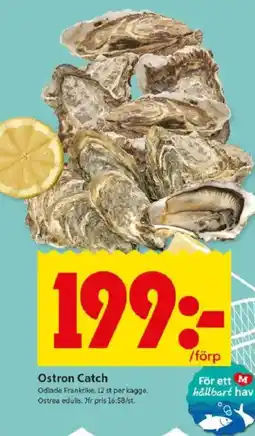 ICA Kvantum Ostron Catch erbjuda