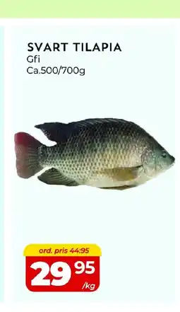 Matrix Butikerna SVART TILAPIA erbjuda