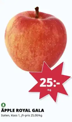 Tempo ÄPPLE ROYAL GALA erbjuda