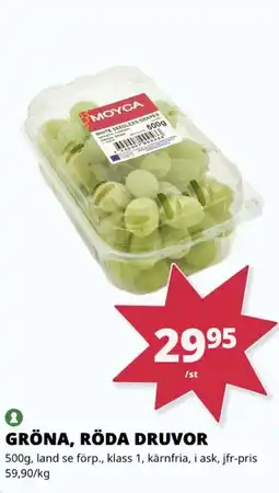 Tempo GRÖNA, RÖDA DRUVOR erbjuda