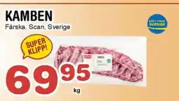 Nya Pulsen Kamben erbjuda