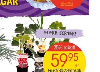 EKO Plantor erbjuda