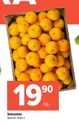 Coop Extra Satsumas, SEK 19.9 erbjuda