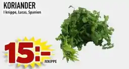 Din Mat Koriander erbjuda