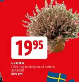 Jem&Fix Ljung erbjuda