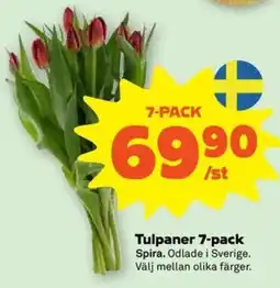 Coop Tulpaner erbjuda