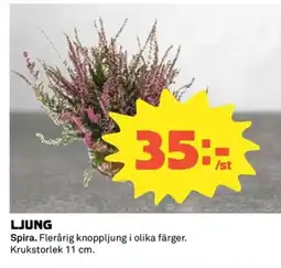 Coop Ljung erbjuda