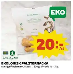 Coop Ekologisk palsternacka erbjuda