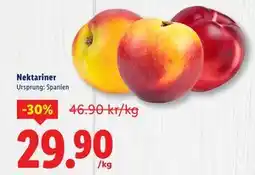 Lidl Nektariner erbjuda
