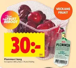 ICA Kvantum Plommon i korg erbjuda