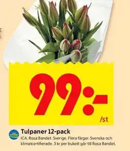 ICA Kvantum Tulpaner 12-pack erbjuda