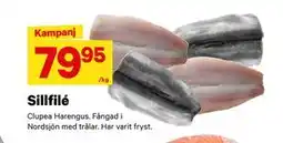 City Gross Sillfilé, SEK 79.95 erbjuda