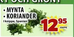 Matvärlden Tensta MYNTA • KORIANDER, SEK 12.95 erbjuda