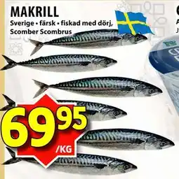 Matvärlden Tensta MAKRILL, SEK 69.95 erbjuda