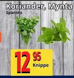 Supergrossen Koriander, Mynta, SEK 12.95 erbjuda