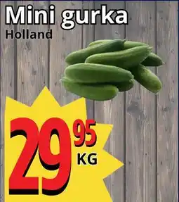Supergrossen Mini gurka, SEK 29.95 erbjuda