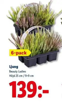 Lidl Ljung erbjuda