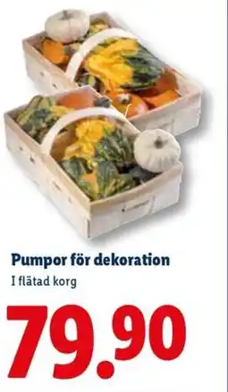Lidl Pumpor för dekoration erbjuda