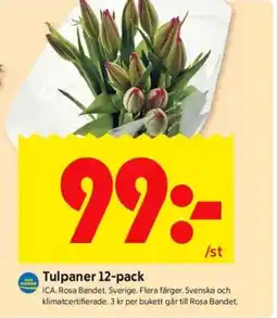 ICA Kvantum Tulpaner erbjuda