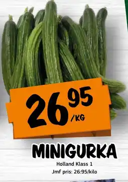 Bazaar Food market Minigurka erbjuda