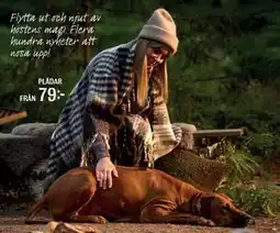 Mio PLÄDAR erbjuda