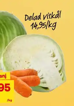 City Gross Delad vitkål, SEK 14.95 erbjuda