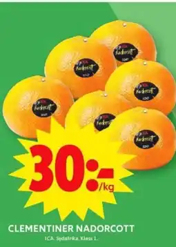 ICA Supermarket CLEMENTINER NADORCOTT erbjuda