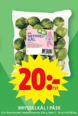 ICA Supermarket BRYSSELKÅL I PÅSE erbjuda