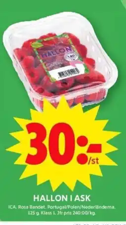 ICA Supermarket HALLON I ASK erbjuda
