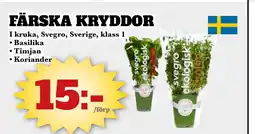 Bonum Matmarknad FÄRSKA KRYDDOR erbjuda