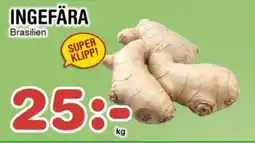 Nya Pulsen Ingefära erbjuda